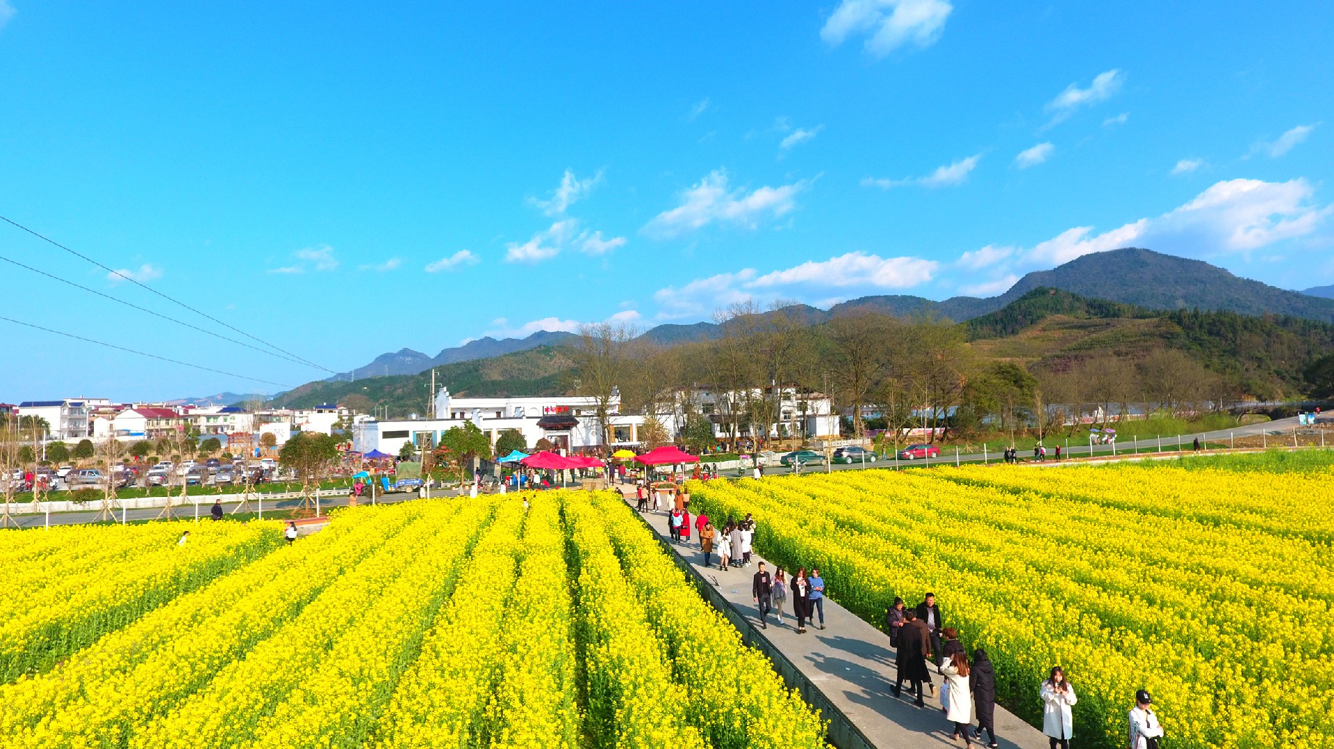 豆田农博园